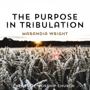 The Purpose in Tribulation