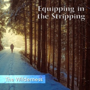 Equipping in the Stripping II: The Wilderness