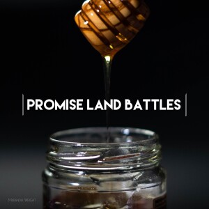 Promise Land Battles