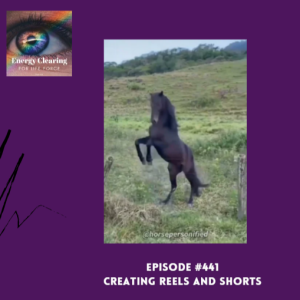 Energy Clearing for Life Podcast #441 ”Creativity Blossoms with Reels & Shorts”