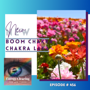 Energy Clearing for Life Podcast #456 ”Boom Chakra Chakra Laka”