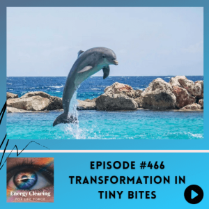Energy Clearing for Life Podcast #466 ”Transformation in Tiny Bites”