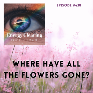 Energy Clearing for Life Podcast #438 ”Where Have all the Flowers Gone?”