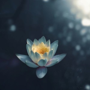 Energy Clearing for Life Force "Clear the Voices in My Head" Podcast #142