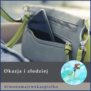 Okazja i złodziej