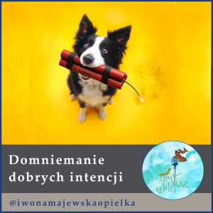 Domniemanie dobrych intecji