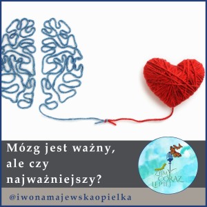 Mózg jest ważny, ale czy najważniejszy?