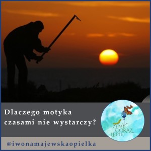 Dlaczego motyka czasem nie wystarczy?
