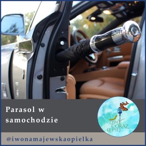 Parasol w samochodzie