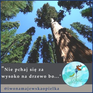 ”Nie pchaj się za wysoko na drzewo bo...”