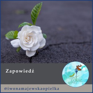 Zapowiedź