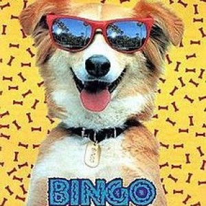 Episode 63 - Dog Subpoena (Bingo)