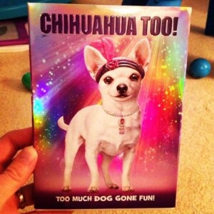 Episode 129 - Chihuahua Too