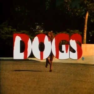 Episode 27 - DOGS (Are You Ready?)