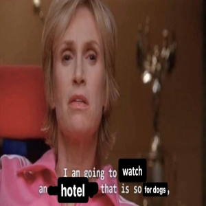 Episode 53 - I Am Going To Watch An Hotel That Is So For Dogs