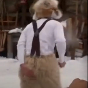 Episode 82 - in the Woods! (Chilly Dogs 2001) (CW Below)