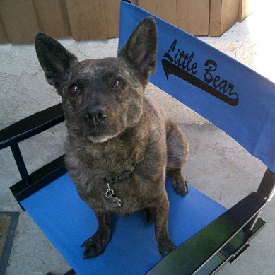Ruff Cuts