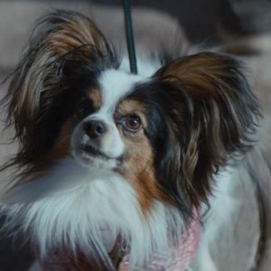 Episode 75 - My Favorite PlayStation VR Movie (Werewolves Within)