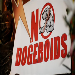 Episode 29 - Doggie Boogie