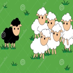 How To Deal With Being The Black Sheep..