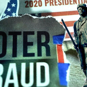 Voter Fraud, The Militia & How The People Can Enforce The Law