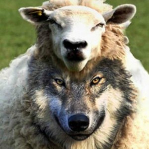 Are The False Prophets In America About To Experience A Rude Awakening?
