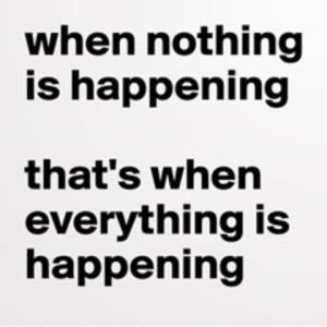 When ”nothing” seems to be happening...by John Meyer