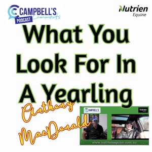 What You look For In A Yearling . Anthony MacDonald