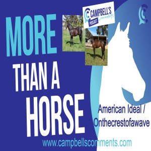 More Than A Horse - Onthecrestofawave/American Ideal with Kath Macintosh