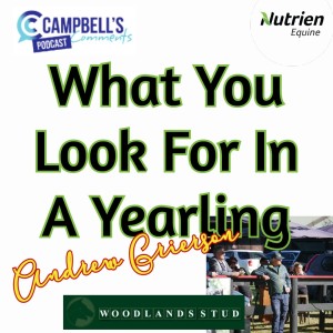 What You Look In A Yearling Ep.6 Andrew Grierson