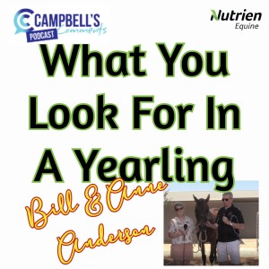 What You Look For In A Yearling S2 E3 Bill & Anne Anderson