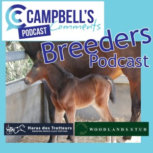 Campbells Comments Breeders Podcast Ep.7