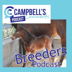 Campbells Comments Breeders Podcast Ep.4