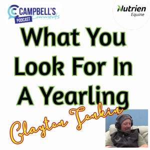 What You Look For In A Yearling S2 Ep.1 Clayton Tonkin