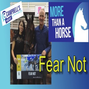 More Than a Horse- Fear Not