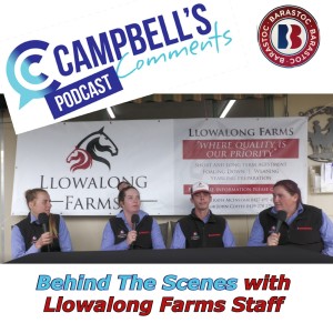 BEHIND THE SCENES with the staff from Llowalong Farms