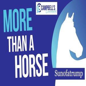 MoreThan A Horse- Sunofatrump