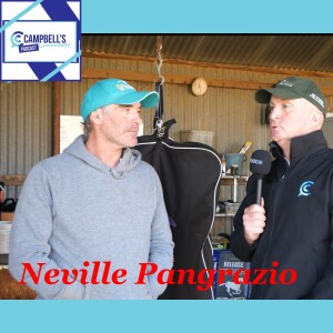 Campbells Comments with Neville Pangrazio