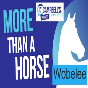 More Than A Horse - Wobelee