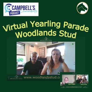 Virtual Yearling Parade with Woodlands Stud NZ