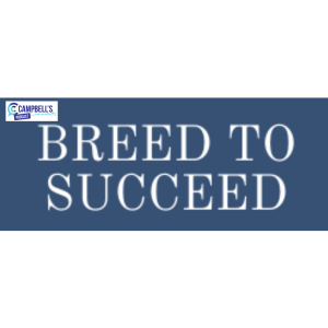 Breed To Succeed Ep.1