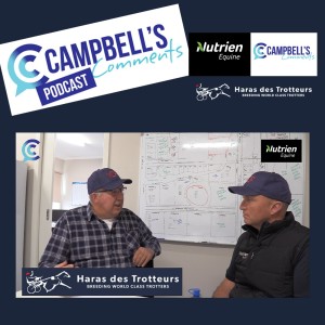 campbells Comments with Pat Driscoll from Haras Des Trotteurs