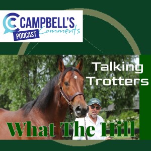 CC Talking Trotters for What The Hill 11/12/23