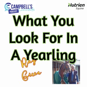 What You Look For In A Yearling with Ray Green