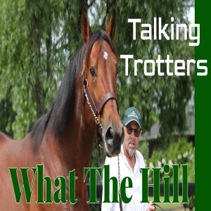 Talking Trotters for What The Hill