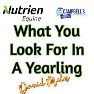 What You Looking For In A Yearling Ep.1 David Miles