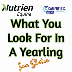 What You Look For in A Yearling Ep.2 Ian Slater