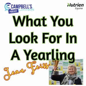 What You Look For In A Yearling S2 Ep.2 Jean Feiss