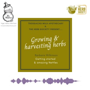16 - The Herb Society UK - Getting started & nettles