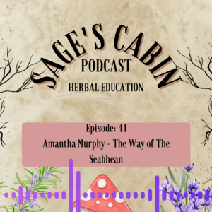 41 - Amantha Murphy - The Way of the Seabhean